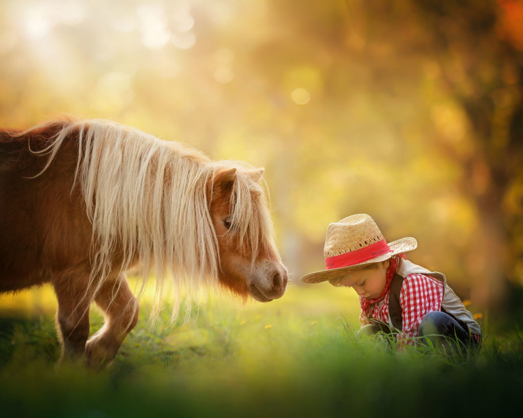 Canon color image of a little cowboy sitting in the grass next to a pony during sunset by Willie Kers