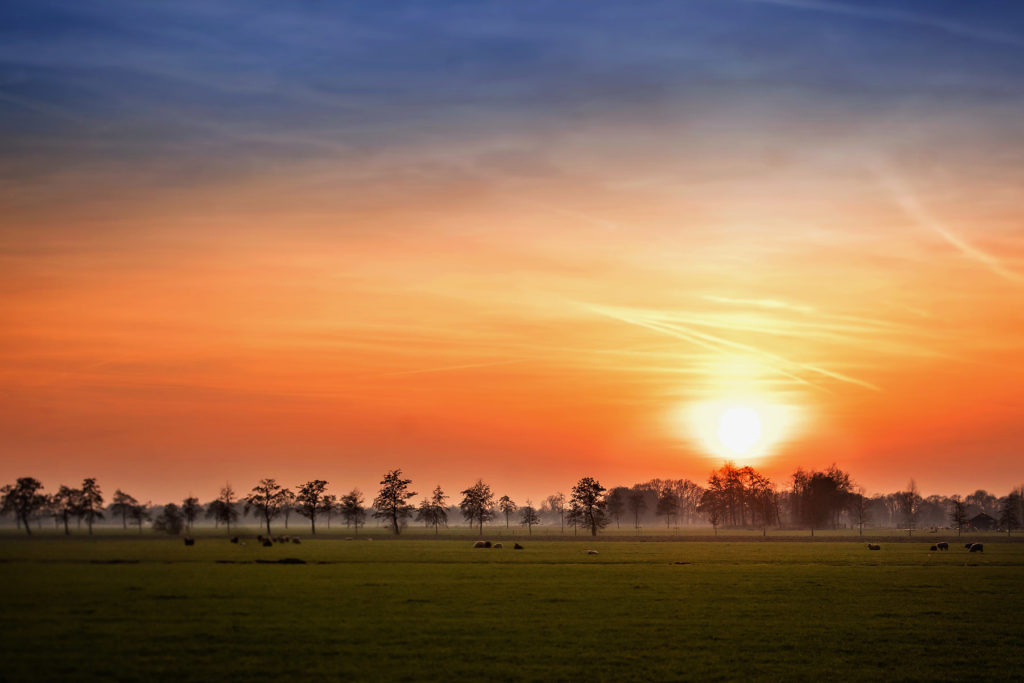 Fine art foto van een weiland met schapen tijdens zonsondergang in Elburg door natuurlijk fotograaf Willie kers uit Apeldoorn