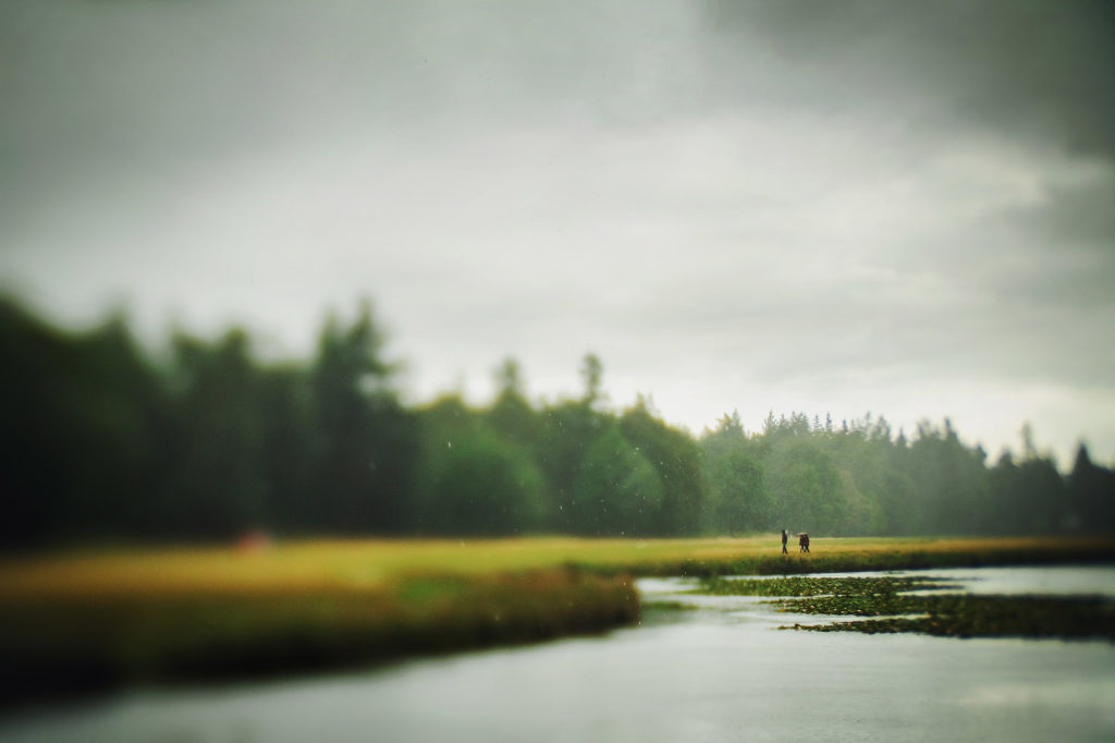 Lensbaby edge 50 image of peopel walking in the rain by Willie Kers