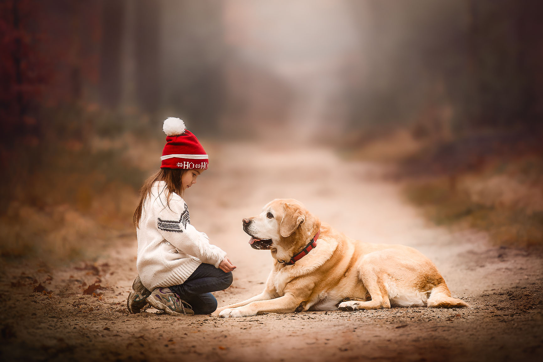 Canon EOS R6 portret van een meisje met een grote labrador in het bos door natuurlijk licht fotograaf Willie Kers